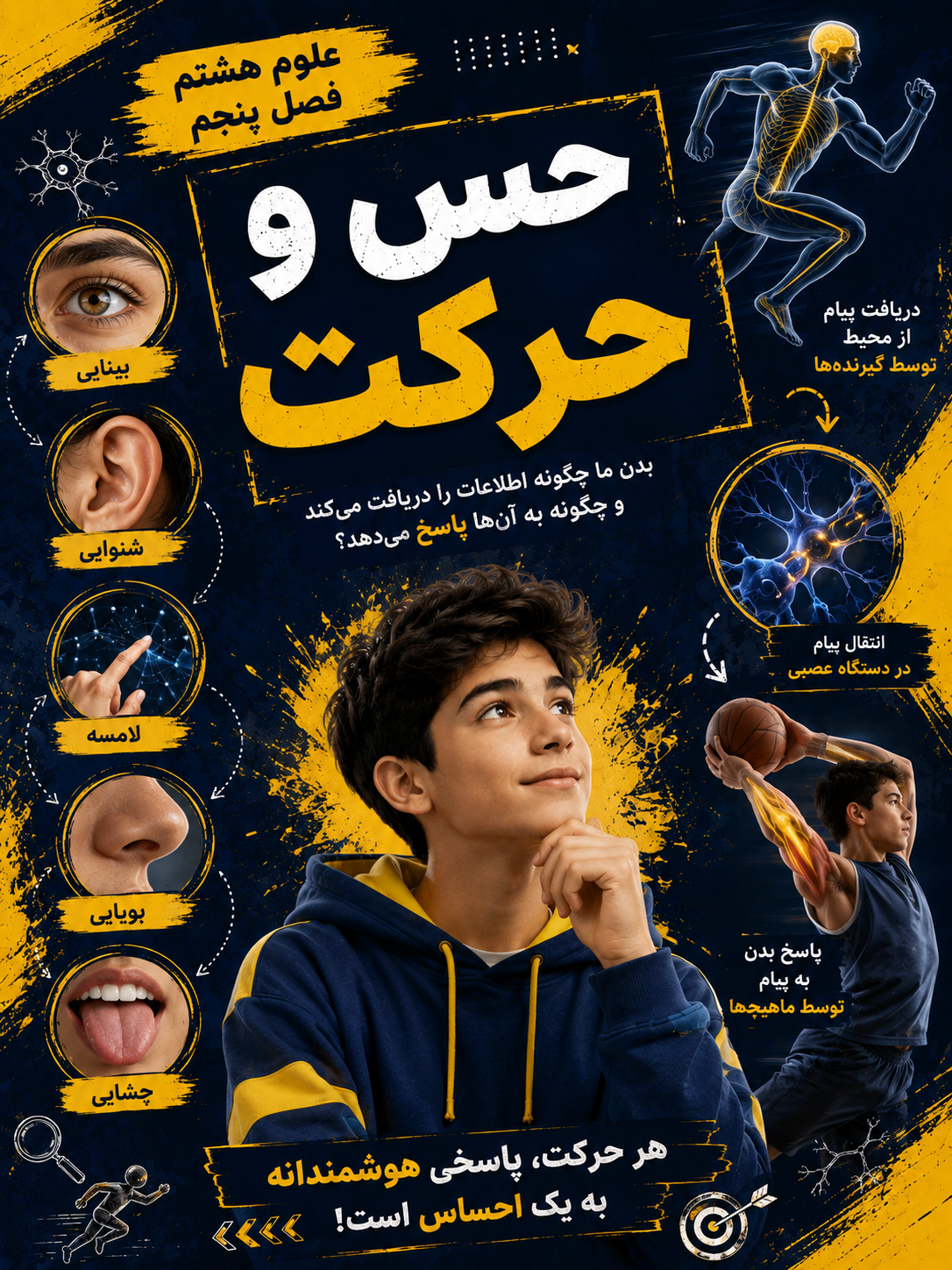 فصل پنجم (حس و حرکت)